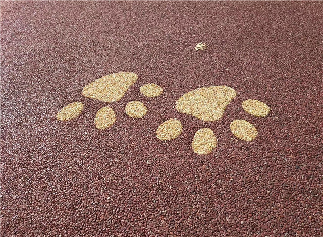 6露骨料透水混凝土